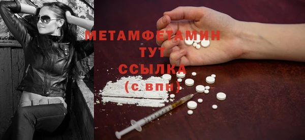 трава Няндома