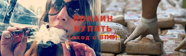 PSILOCYBIN Нязепетровск