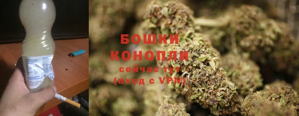 PSILOCYBIN Нязепетровск