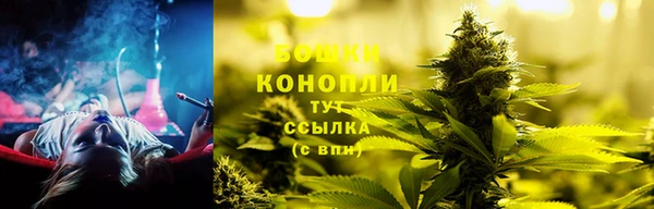 PSILOCYBIN Нязепетровск