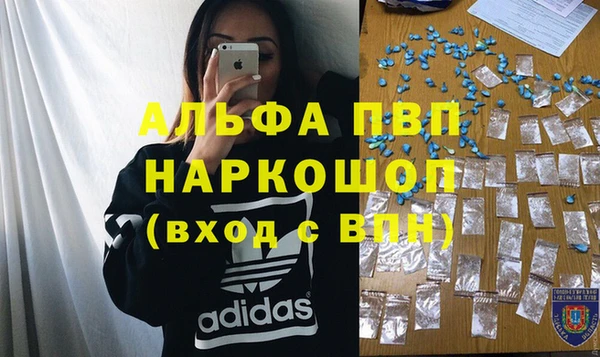 трава Няндома