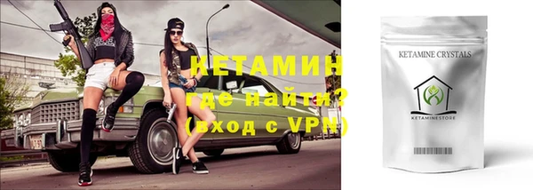 трава Няндома