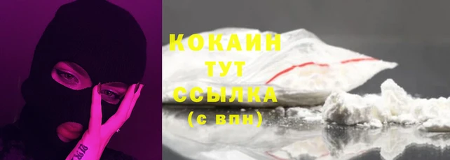 трава Няндома