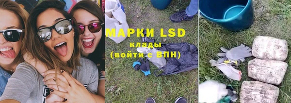PSILOCYBIN Нязепетровск