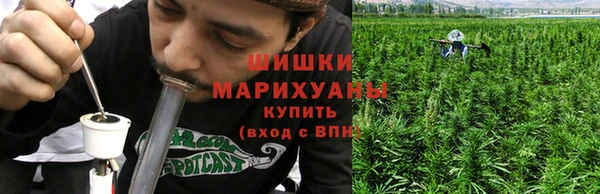 трава Няндома