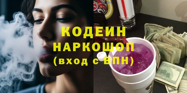 трава Няндома