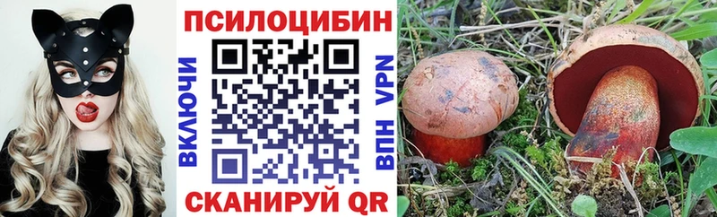 купить наркоту  Пучеж  Псилоцибиновые грибы Psilocybine cubensis 